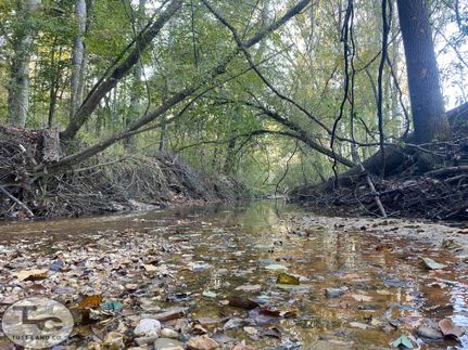 Timberland Property for sale in Copiah County, Mississippi