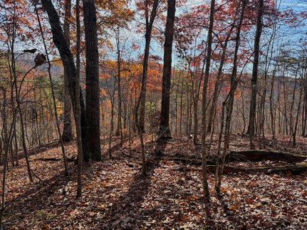 Recreational Property for sale in Lawrence County, Kentucky