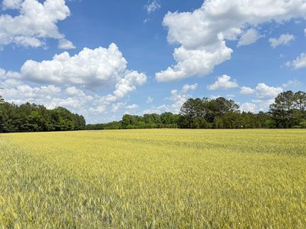 Property for sale in Horry County, South Carolina