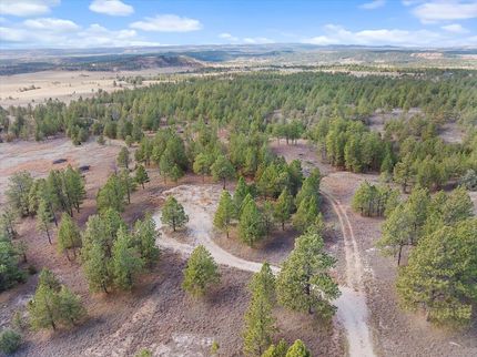 Undeveloped Land for sale in Custer County, South Dakota
