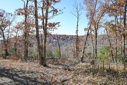 Timberland Property for sale in Miller County, Missouri