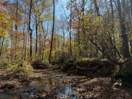 Property for sale in Lee County, Alabama