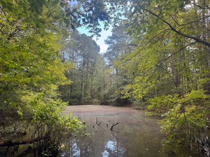 Farm Property for sale in Hot Spring County, Arkansas