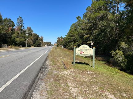 Residential Property for sale in Camden County, Georgia