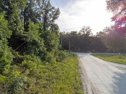 Undeveloped Land for sale in Dixie County, Florida