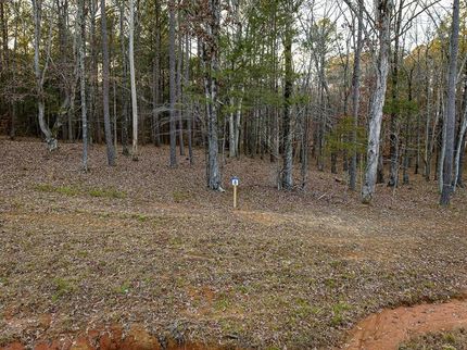 Undeveloped Land for sale in Carroll County, Tennessee