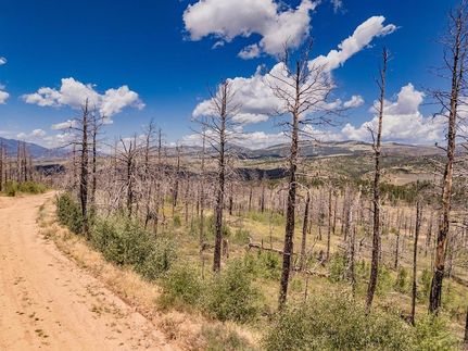 Undeveloped Land for sale in Costilla County, Colorado