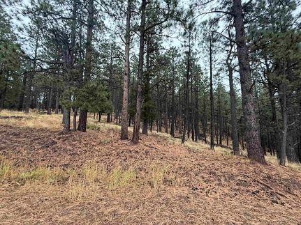 Undeveloped Land for sale in Colfax County, New Mexico