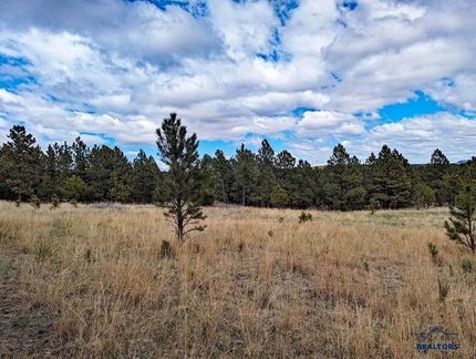 Undeveloped Land for sale in Custer County, South Dakota