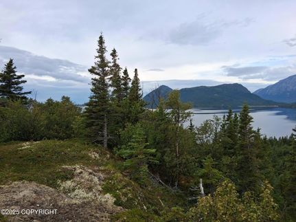 Undeveloped Land for sale in Lake and Peninsula Borough, Alaska