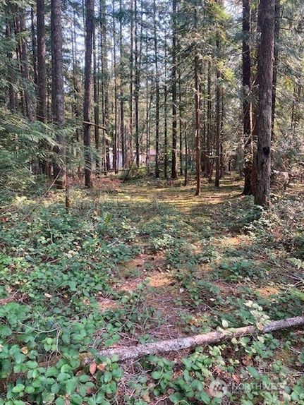 Property for sale in Mason County, Washington