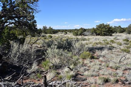 Undeveloped Land for sale in Coconino County, Arizona