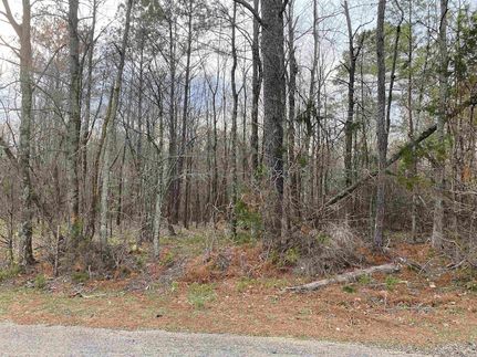 Undeveloped Land for sale in Hardin County, Tennessee