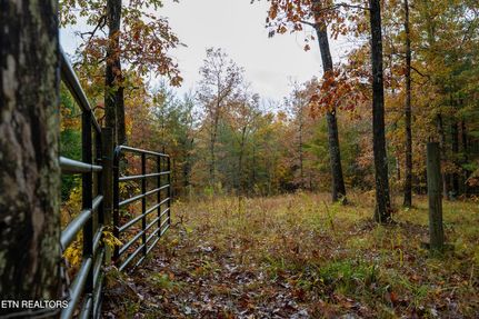 Property for sale in Fentress County, Tennessee