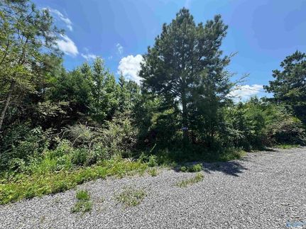 Property for sale in Marshall County, Alabama