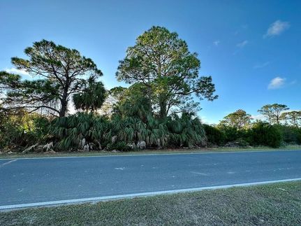 Undeveloped Land for sale in Levy County, Florida