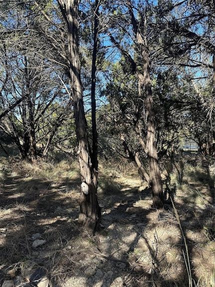 Undeveloped Land for sale in Travis County, Texas