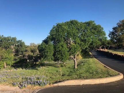 Undeveloped Land for sale in Llano County, Texas