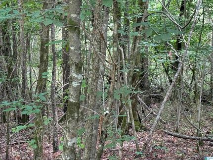 Property for sale in Etowah County, Alabama