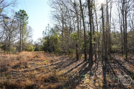 Property for sale in Bulloch County, Georgia