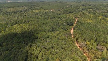 Undeveloped Land for sale in Marion County, Texas