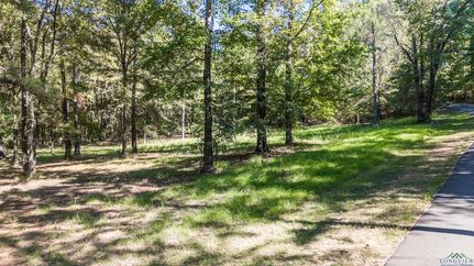 Undeveloped Land for sale in Marion County, Texas