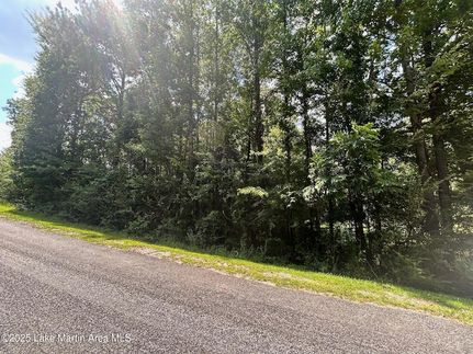 Undeveloped Land for sale in Tallapoosa County, Alabama