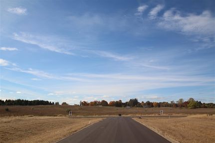 Undeveloped Land for sale in Emmet County, Michigan