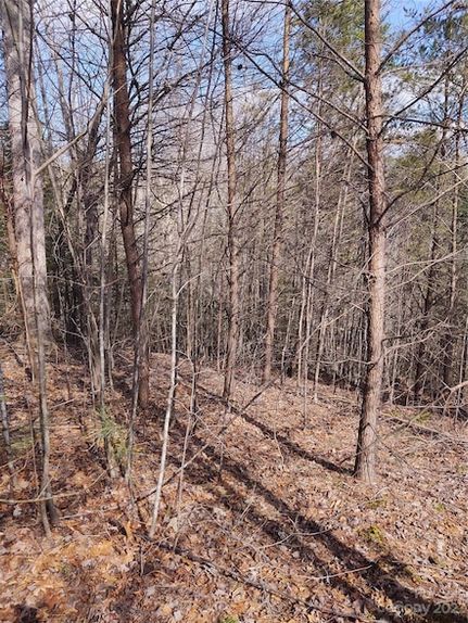 Property for sale in McDowell County, North Carolina