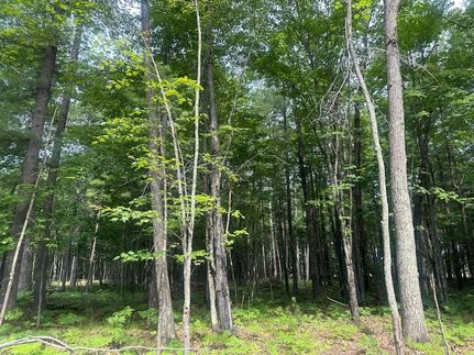 Undeveloped Land for sale in Vilas County, Wisconsin