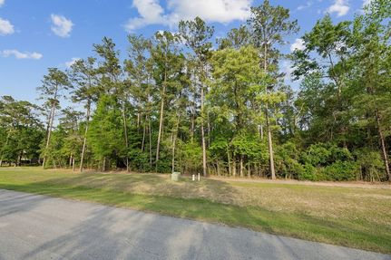 Undeveloped Land for sale in Montgomery County, Texas