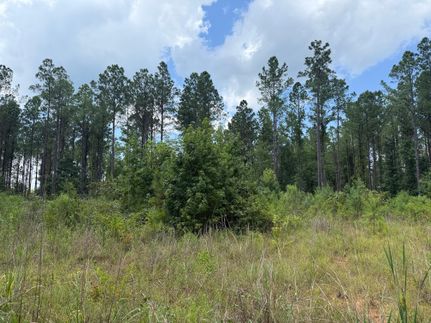 Residential Property for sale in Hale County, Alabama