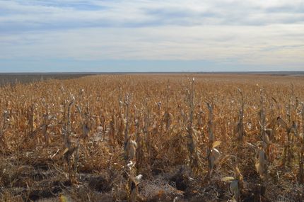 Property for sale in Cheyenne County, Colorado