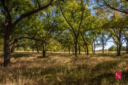 Farm Property for sale in Jefferson County, Oklahoma