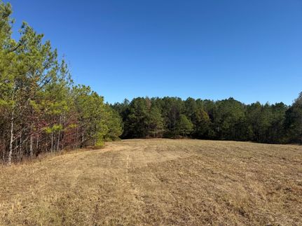 Hunting Land for sale in Tuscaloosa County, Alabama