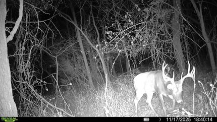 Property for sale in Montgomery County, Kansas