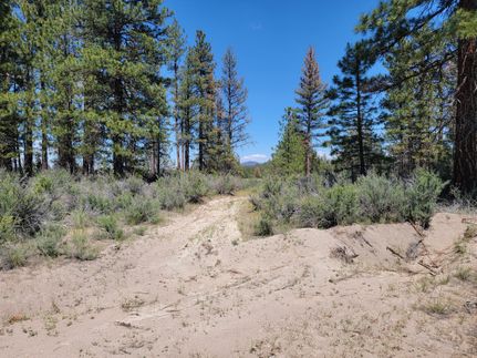 Undeveloped Land for sale in Klamath County, Oregon