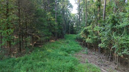 Commercial Property for sale in Polk County, Arkansas