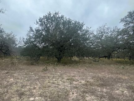 Farm Property for sale in Medina County, Texas