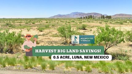 Undeveloped Land for sale in Luna County, New Mexico