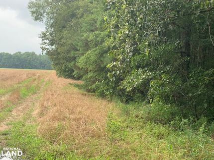 Farm Property in Morehouse Parish, Louisiana