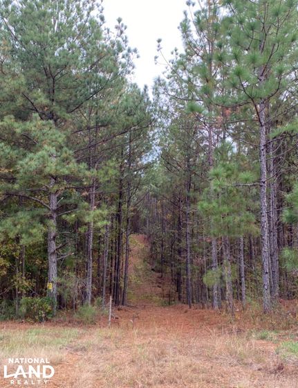 Ranch Property for sale in Shelby County, Alabama