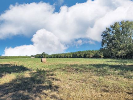 Farm Property for sale in Dillon County, South Carolina