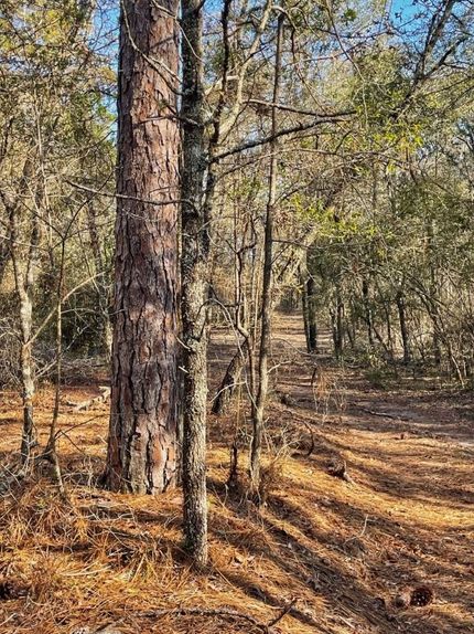 Hunting Land for sale in Emanuel County, Georgia