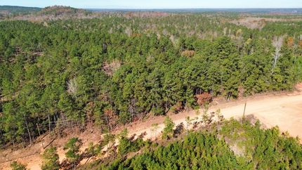 Undeveloped Land for sale in Lee County, Alabama