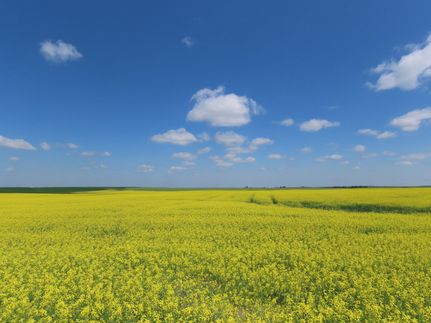 Farm Property for sale in Burke County, North Dakota