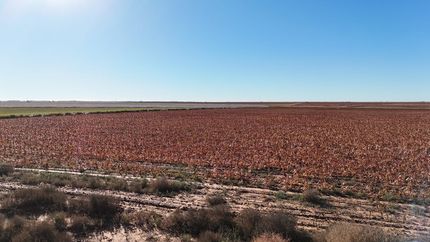 Property for sale in Cochran County, Texas