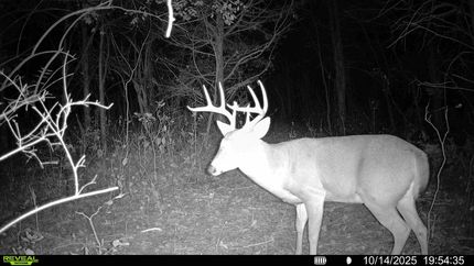 Farm Property for sale in Kenton County, Kentucky