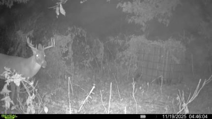 Property for sale in Crittenden County, Arkansas