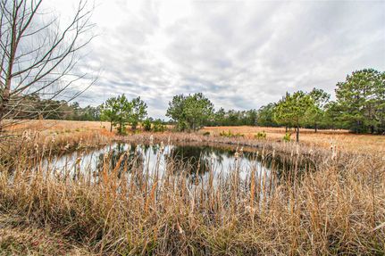 Undeveloped Land for sale in San Jacinto County, Texas